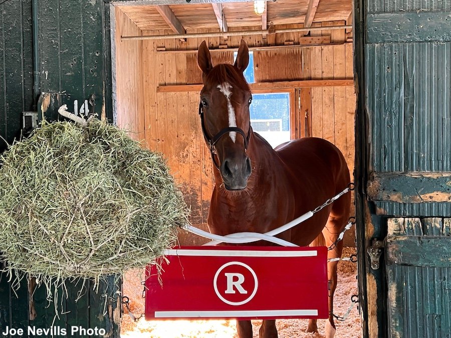 Two Weeks To The Travers: Rich Strike, Reed Settle In To Life In Saratoga